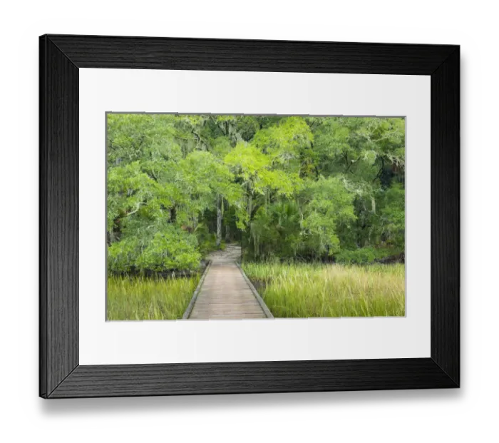 Framed Print : USA, South Carolina, Charleston, Edisto Beach State Park. Boardwalk over swamp. Credit as