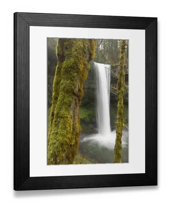 Framed Print : South Falls, Silver Falls State Park, Oregon Framed Print : South Falls, Silver Falls State Park, Oregon