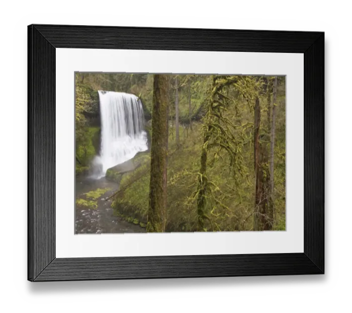 Framed Print : Middle Falls, Silver Falls State Park, Oregon Framed Print : Middle Falls, Silver Falls State Park, Oregon