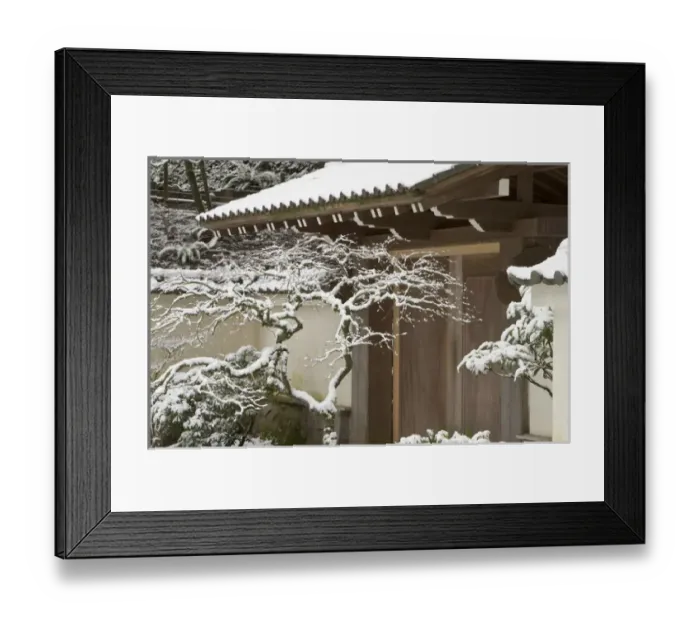 Framed Print : Rare snow at the Portland Japanese Garden, Oregon Framed Print : Rare snow at the Portland Japanese Garden, Oregon