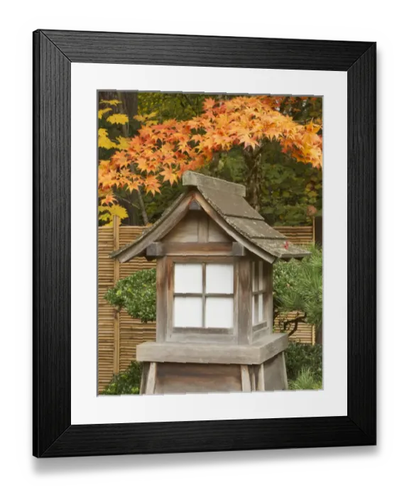 Framed Print : Fall color at the Portland Japanese Garden, Oregon Framed Print : Fall color at the Portland Japanese Garden, Oregon