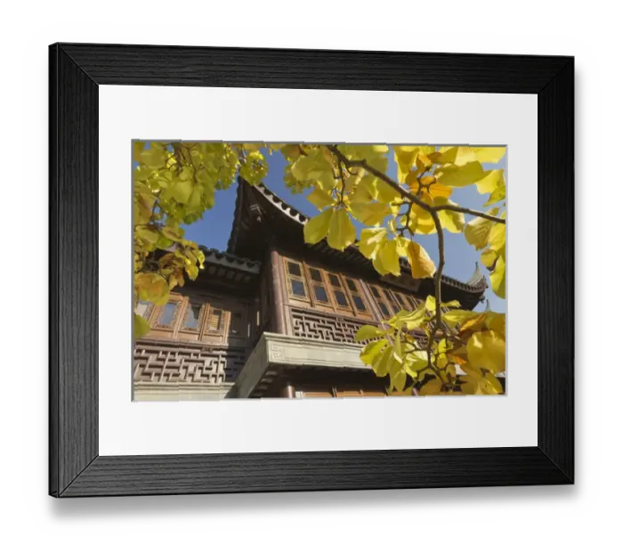 Framed Print : The tearoom at Lan Su Chinese Garden, Portland, Oregon