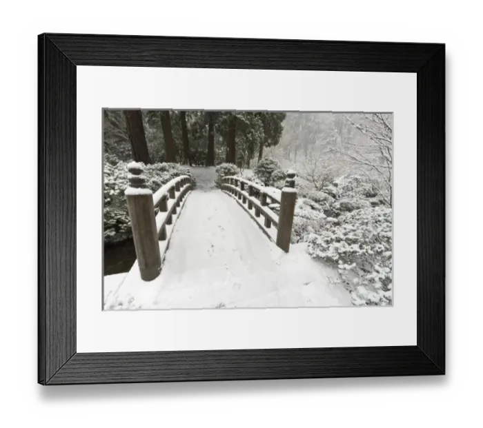 Framed Print : Snow-covered moon bridge, Portland Japanese Garden, Oregon