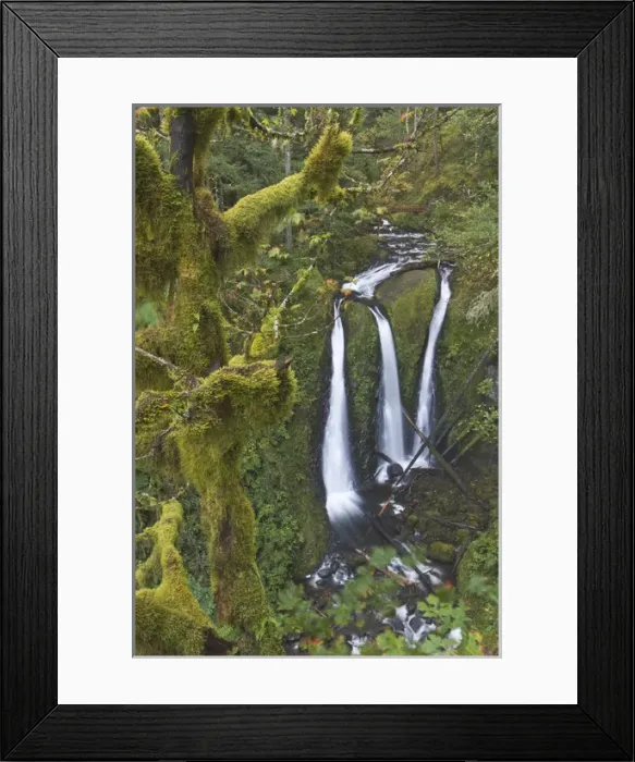 Framed Print : Triple Falls on Oneonta Creek, Columbia River Gorge, Oregon Framed Print : Triple Falls on Oneonta Creek, Columbia River Gorge, Oregon
