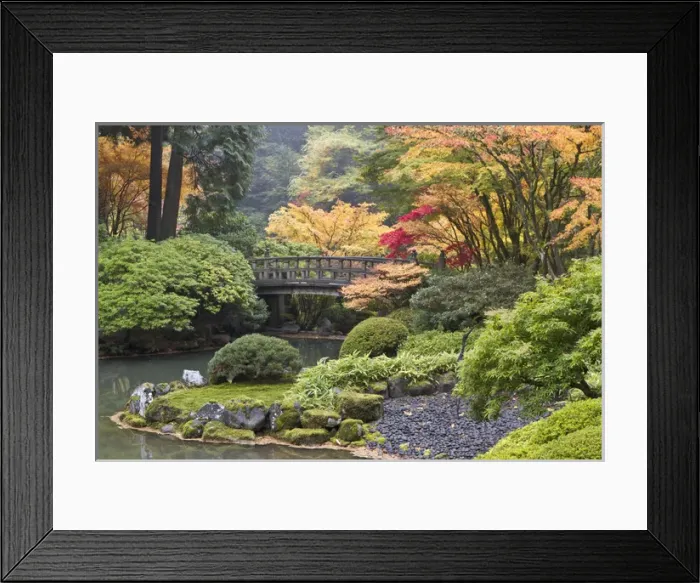 Framed Print : Moon bridge and autumn colors, Portland Japanese Garden, Oregon Framed Print : Moon bridge and autumn colors, Portland Japanese Garden, Oregon