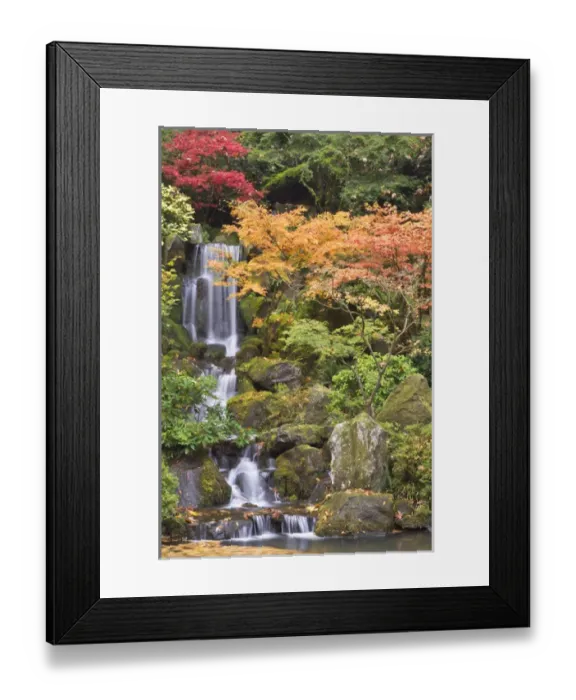 Framed Print : Heavenly Falls and autumn colors, Portland Japanese Garden, Oregon Framed Print : Heavenly Falls and autumn colors, Portland Japanese Garden, Oregon