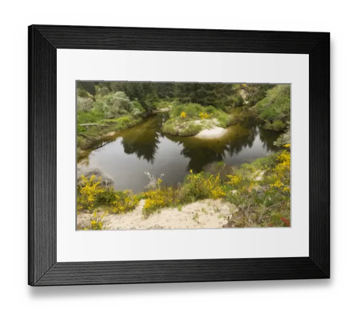 Framed Print : A brackish creek runs through the coastal dunes in Florence, Oregon