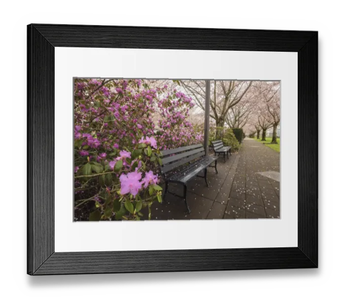 Framed Print : USA, Oregon, Salem, State Capitol State Park in early spring