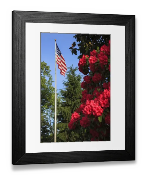Framed Print : USA, Oregon, Salem, State Capitol, Azaleas and US flag