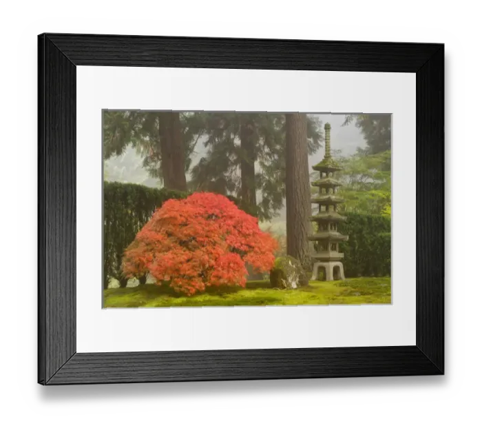 Framed Print : Japanese maple and stone pagoda lantern at the Portland Japanese Garden, Oregon Framed Print : Japanese maple and stone pagoda lantern at the Portland Japanese Garden, Oregon