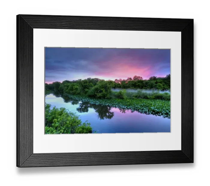 Framed Print : USA, Pennsylvania, Philadelphia, Silver Lake Nature Center Framed Print : USA, Pennsylvania, Philadelphia, Silver Lake Nature Center