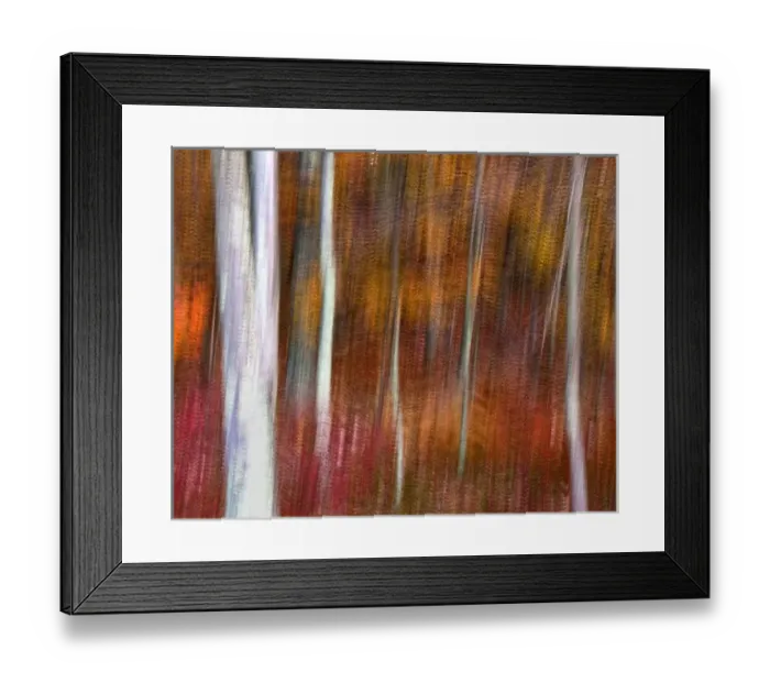 Framed Print : USA, Pennsylvania, Delaware Water Gap National Recreational Area. Abstract of trees Framed Print : USA, Pennsylvania, Delaware Water Gap National Recreational Area. Abstract of trees