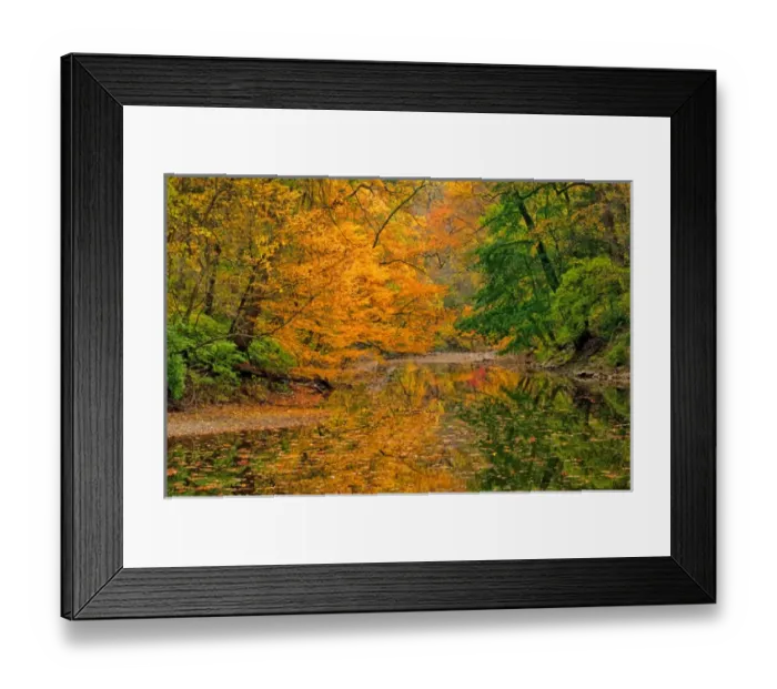 Framed Print : USA, Pennsylvania, Dingmans Ferry. Trees reflected in water