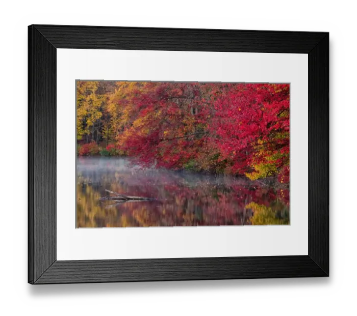 Framed Print : USA, Pennsylvania, Dingmans Ferry, Hidden Lake. Trees in autumn color reflect in lake