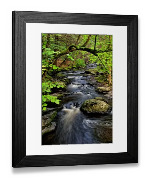 Framed Print : USA, Pennsylvania, Dingmans Ferry, Childs Park Dingmans Creek. Creek flows through forest