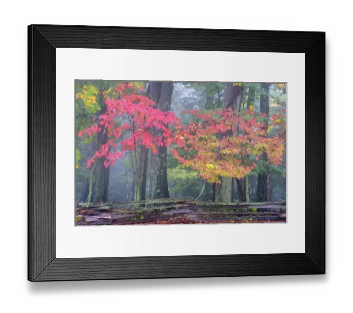 Framed Print : USA, Pennsylvania, Valley Forge National Park. Misty sunrise on split-rail fence in forest Framed Print : USA, Pennsylvania, Valley Forge National Park. Misty sunrise on split-rail fence in forest