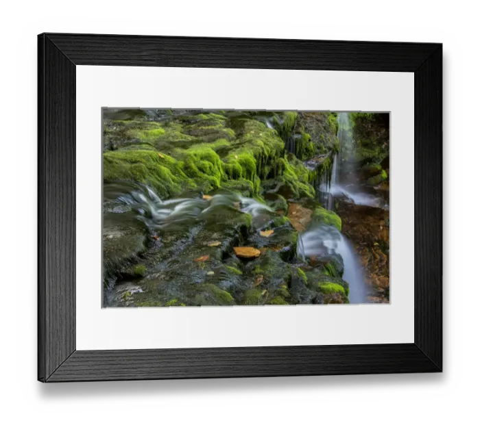 Framed Print : USA, Pennsylvania, Benton, Ricketts Glen State Park. Flowing stream from waterfall Framed Print : USA, Pennsylvania, Benton, Ricketts Glen State Park. Flowing stream from waterfall