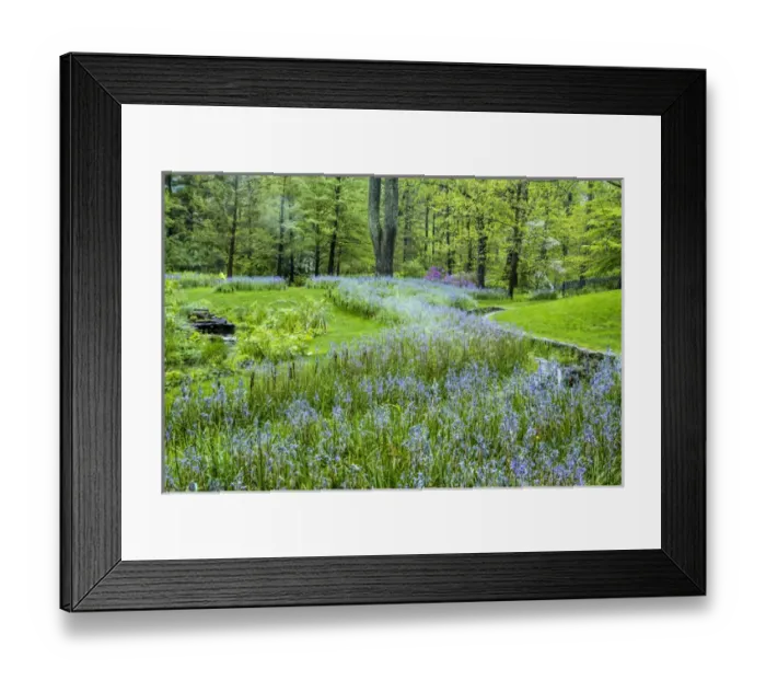 Framed Print : USA, Pennsylvania, Wayne, Chanticleer Garden. Blooming flowers in spring garden. Credit as Framed Print : USA, Pennsylvania, Wayne, Chanticleer Garden. Blooming flowers in spring garden. Credit as