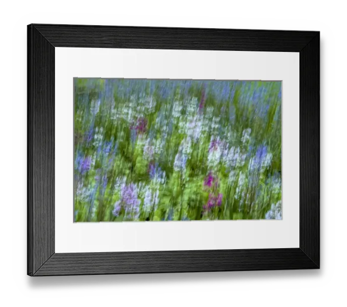 Framed Print : USA, Pennsylvania, Wayne, Chanticleer Garden Framed Print : USA, Pennsylvania, Wayne, Chanticleer Garden