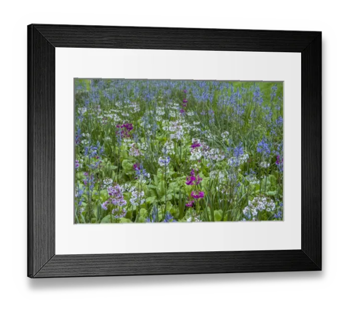Framed Print : USA, Pennsylvania, Wayne, Chanticleer Garden. Blooming flowers in spring garden. Credit as