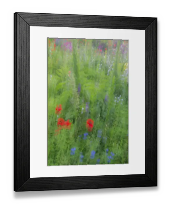 Framed Print : USA, Wayne, Pennsylvania. Summer flowers abstract in Chanticleer Garden. Credit as