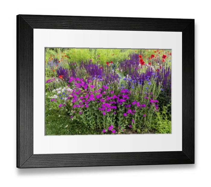Framed Print : USA, Wayne, Pennsylvania. Summer flowers in Chanticleer Garden Framed Print : USA, Wayne, Pennsylvania. Summer flowers in Chanticleer Garden