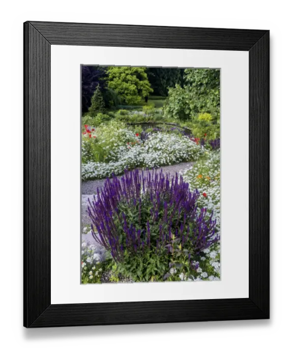 Framed Print : USA, Wayne, Pennsylvania. Summer flowers in Chanticleer Garden Framed Print : USA, Wayne, Pennsylvania. Summer flowers in Chanticleer Garden