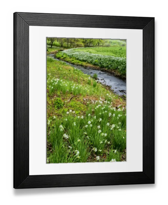 Framed Print : USA, Pennsylvania, Wayne, Chanticleer Garden Framed Print : USA, Pennsylvania, Wayne, Chanticleer Garden
