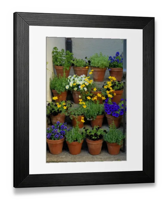 Framed Print : USA, Pennsylvania, Wayne, Chanticleer Garden Framed Print : USA, Pennsylvania, Wayne, Chanticleer Garden