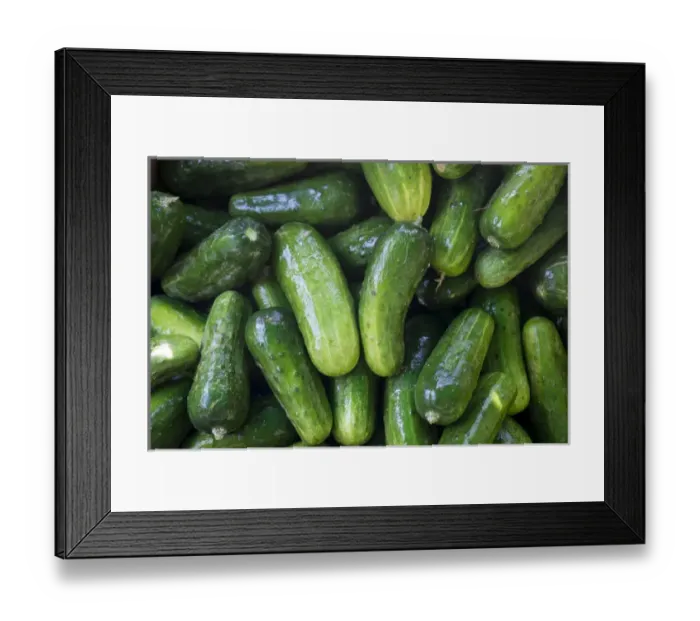 Framed Print : Pickling Cucumbers for sale at a Farmers Market, Charleston, South Carolina. USA Framed Print : Pickling Cucumbers for sale at a Farmers Market, Charleston, South Carolina. USA