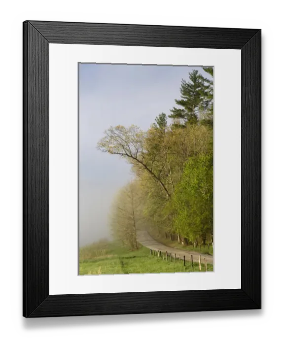 Framed Print : Early morning view of Hyatt Lane, Cades Cove, Great Smoky Mountains National Park Framed Print : Early morning view of Hyatt Lane, Cades Cove, Great Smoky Mountains National Park