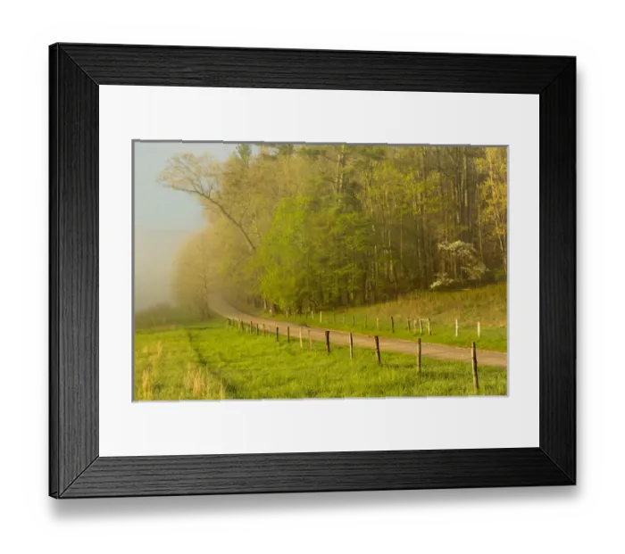 Framed Print : Early morning view of Hyatt Lane, Cades Cove, Great Smoky Mountains National Park