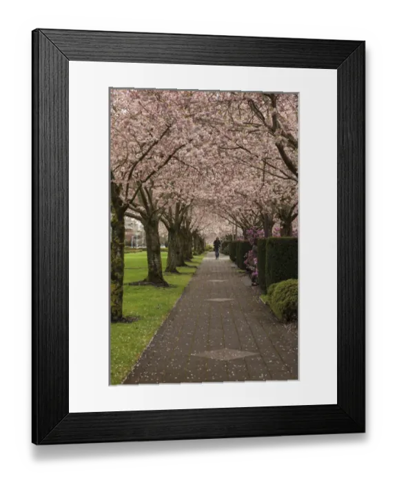 Framed Print : USA, Oregon, Salem, State Capitol State Park in early spring Framed Print : USA, Oregon, Salem, State Capitol State Park in early spring