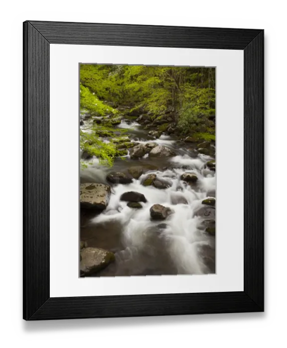 Framed Print : USA; North America; Tennessee; Great Smoky Mountain NP; Little River cascading over