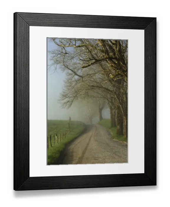 Framed Print : Early morning view of Sparks Lane, Cades Cove, Great Smoky Mountains National Park Framed Print : Early morning view of Sparks Lane, Cades Cove, Great Smoky Mountains National Park