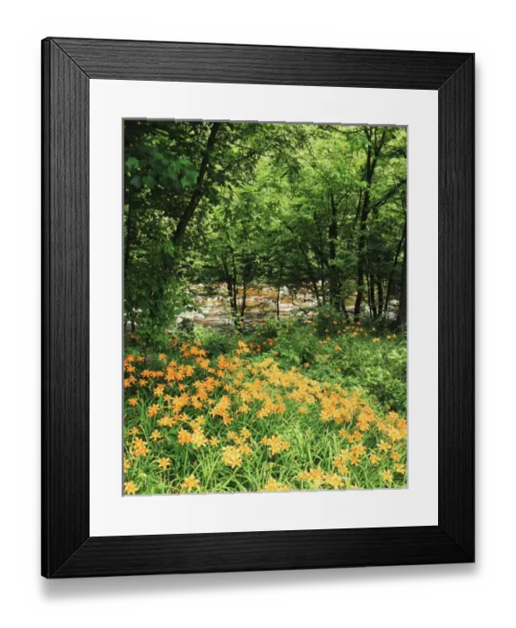 Framed Print : USA, Tennessee, Great Smoky Mountains National Park, Trees and daylily along Little Framed Print : USA, Tennessee, Great Smoky Mountains National Park, Trees and daylily along Little