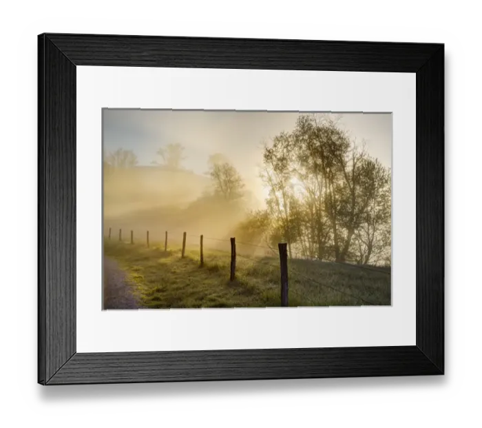 Framed Print : Sunbeams through trees at sunrise, Cades Cove, Great Smoky Mountains National Park