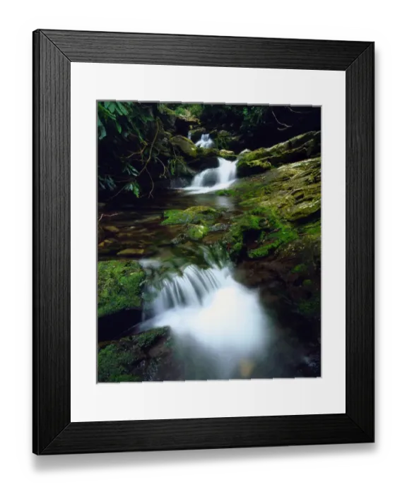 Framed Print : USA; Tennessee; A moss covered stream in The Great Smoky Mountains Framed Print : USA; Tennessee; A moss covered stream in The Great Smoky Mountains