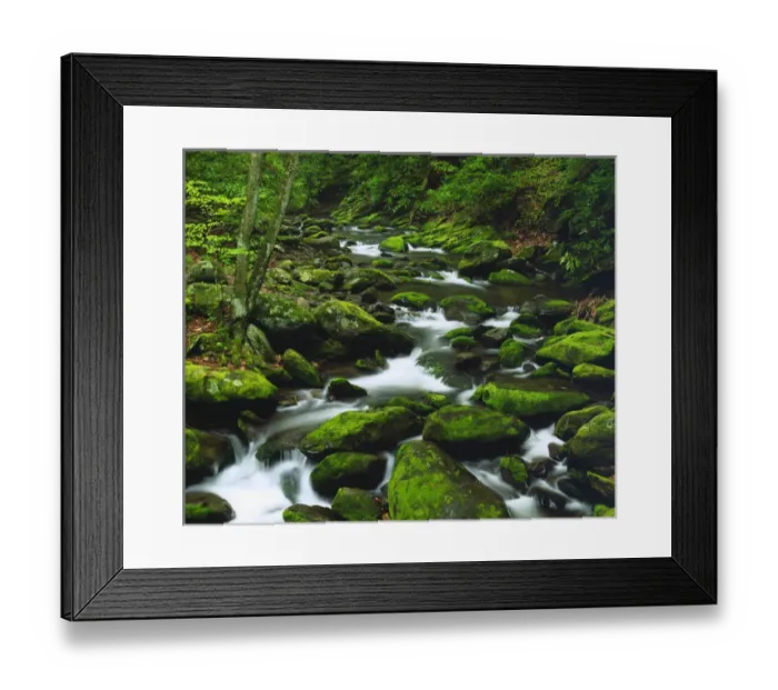 Framed Print : USA, Tennessee, A moss covered stream in The Great Smoky Mountains Framed Print : USA, Tennessee, A moss covered stream in The Great Smoky Mountains