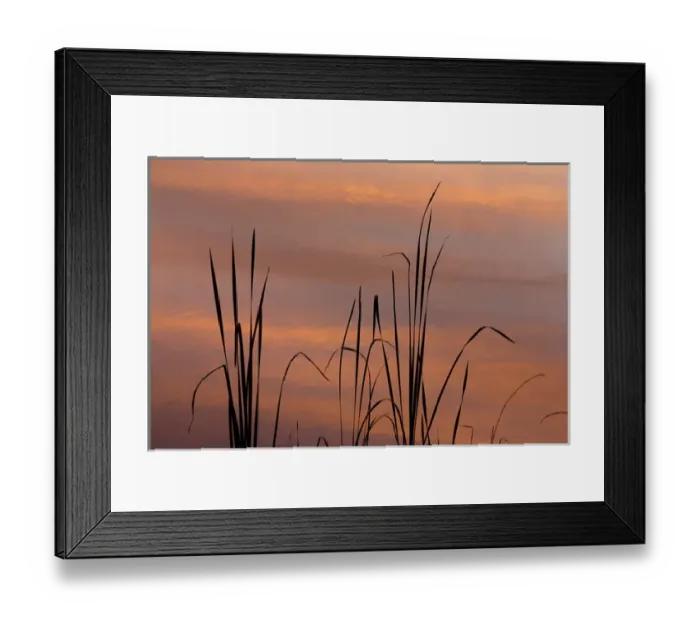 Framed Print : USA, Tennessee, Falls Creek Falls State Park. Sunrise on cattails in lake. Credit as