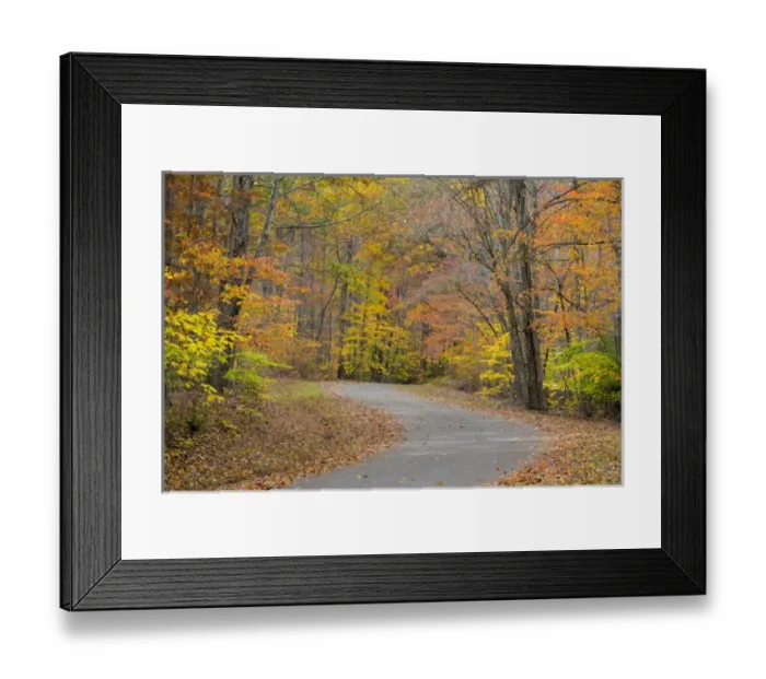 Framed Print : USA, Tennessee, Falls Creek Falls State Park. Road through forest in autumn. Credit as Framed Print : USA, Tennessee, Falls Creek Falls State Park. Road through forest in autumn. Credit as