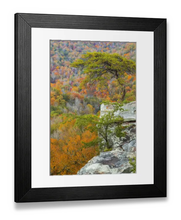 Framed Print : USA, Tennessee, Falls Creek Falls State Park. Overlook from Buzzards Roost. Credit as Framed Print : USA, Tennessee, Falls Creek Falls State Park. Overlook from Buzzards Roost. Credit as