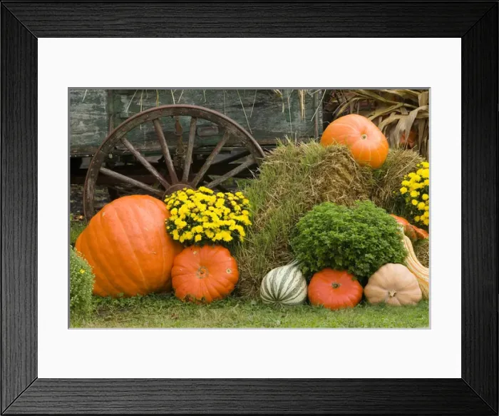 Framed Print : USA, Tennessee, Townsend. Wooden wagon and Halloween display