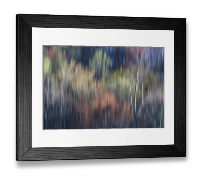 Framed Print : Abstract blur of trees leafing out in Spring, Tennessee Framed Print : Abstract blur of trees leafing out in Spring, Tennessee