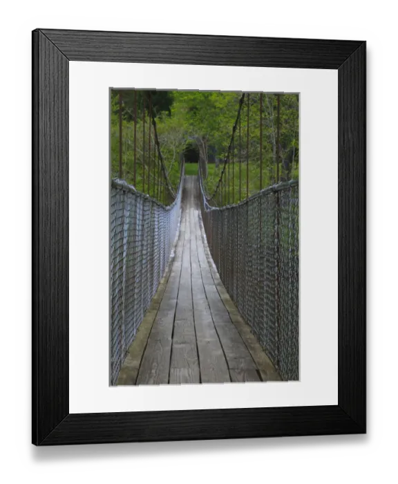 Framed Print : USA; North America; Tennesse; Narrow foot bridge over stream in Tennessee Framed Print : USA; North America; Tennesse; Narrow foot bridge over stream in Tennessee