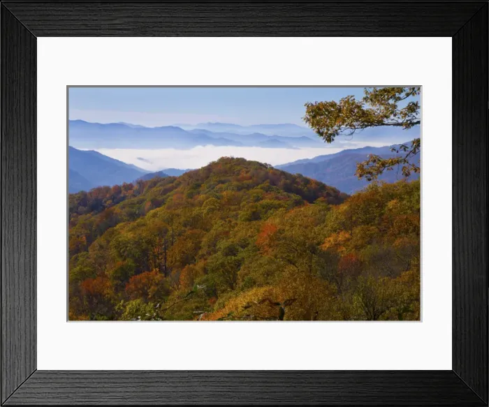 Framed Print : Autumn in the Great Smoky Mountain National Park, Tennessee