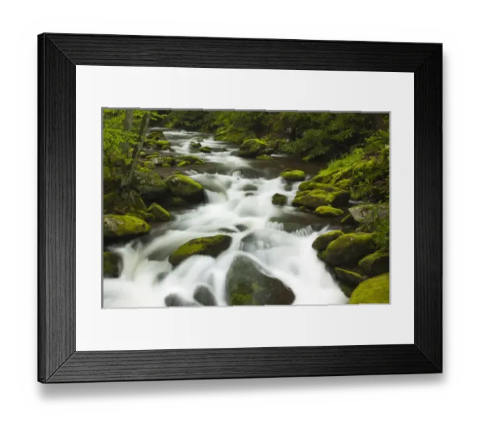 Framed Print : USA; North America; Tennesse; Stream at Roaring Fork Motor Trail in the Smokies Framed Print : USA; North America; Tennesse; Stream at Roaring Fork Motor Trail in the Smokies