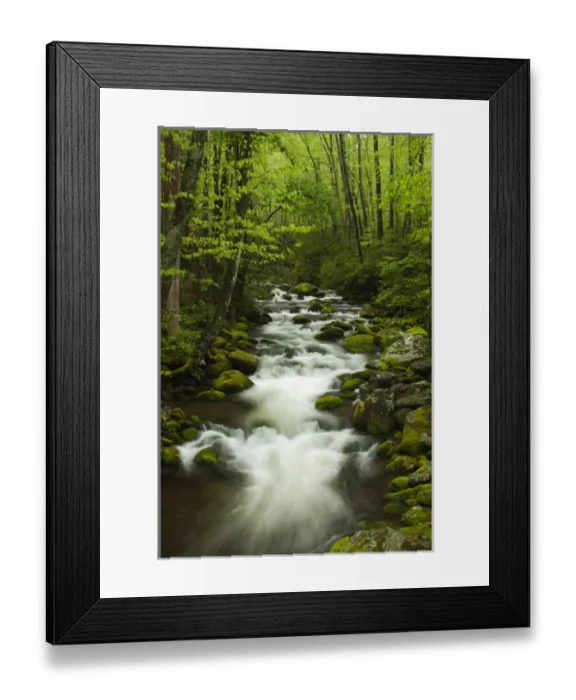 Framed Print : North America, USA, Tennessee; Stream at Roaring Fork Trail in the Smokies Framed Print : North America, USA, Tennessee; Stream at Roaring Fork Trail in the Smokies