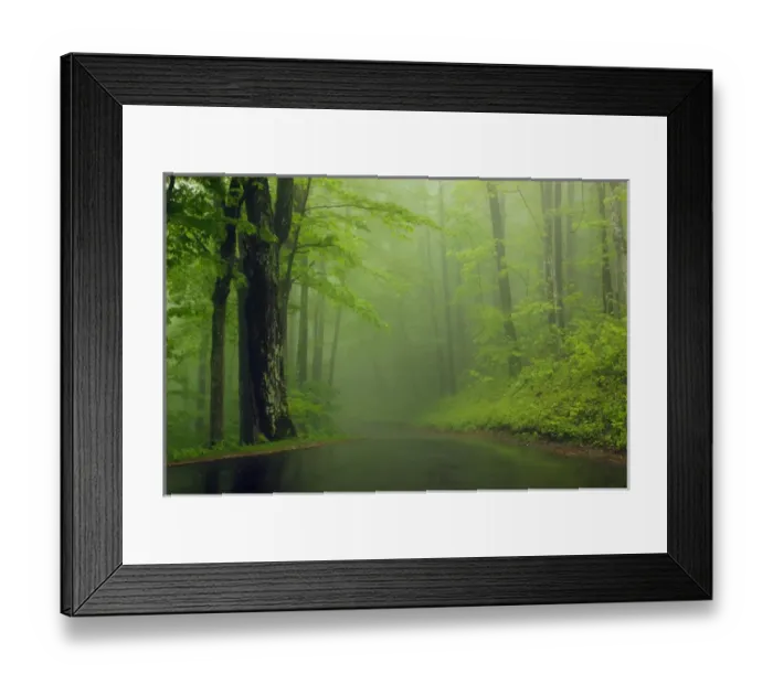 Framed Print : North America, USA, Tennessee; Foggy morning at Roaring Fork Trail in the Smokies