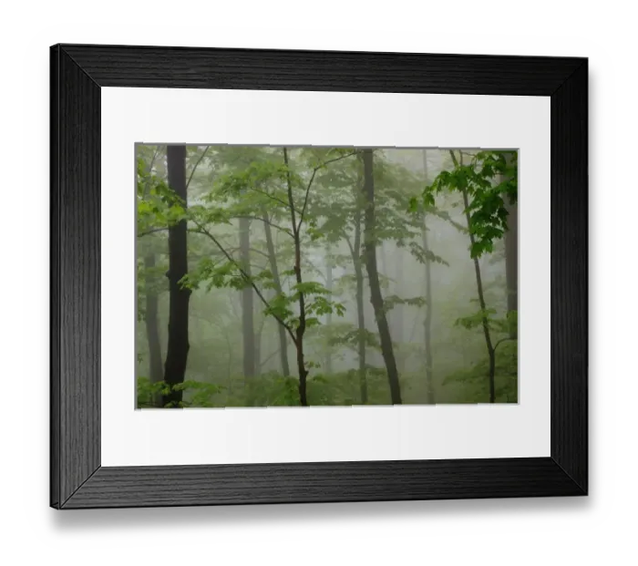Framed Print : North America, USA, Tennessee; Foggy morning at Roaring Fork Trail in the Smokies Framed Print : North America, USA, Tennessee; Foggy morning at Roaring Fork Trail in the Smokies